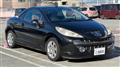 2007 Peugeot 207