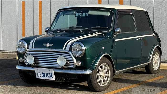 1995 Rover Mini