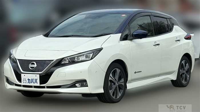 2018 Nissan Leaf