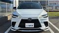 2025 Lexus RX