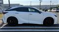 2025 Lexus RX