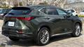 2023 Lexus NX