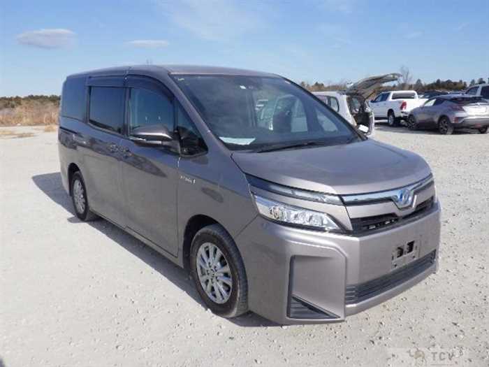 2019 Toyota Toyota Others