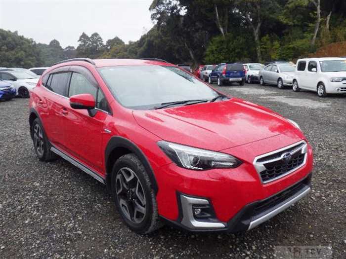 2019 Subaru Subaru Others