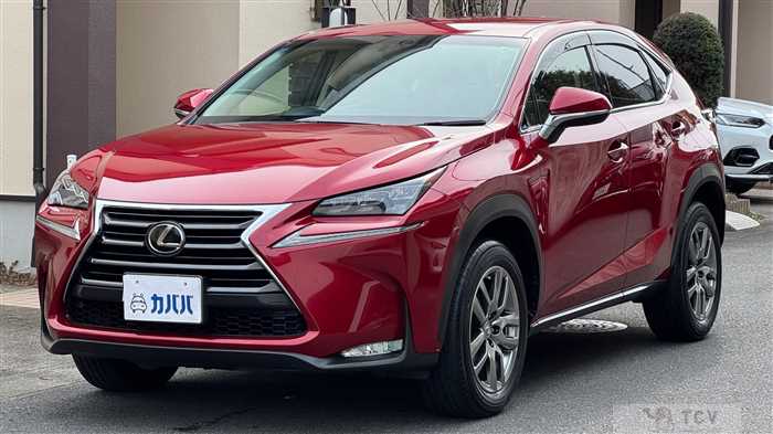 2014 Lexus NX
