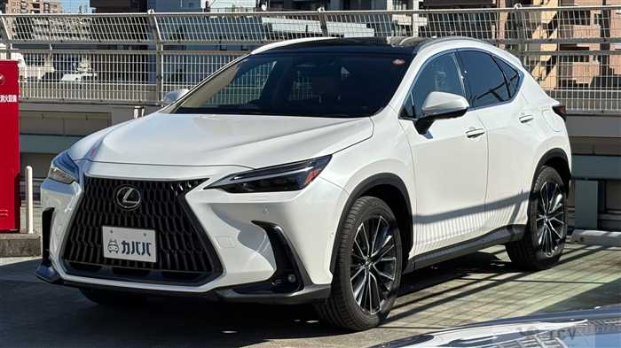 2023 Lexus NX