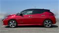2021 Nissan Leaf