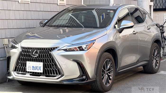 2022 Lexus NX