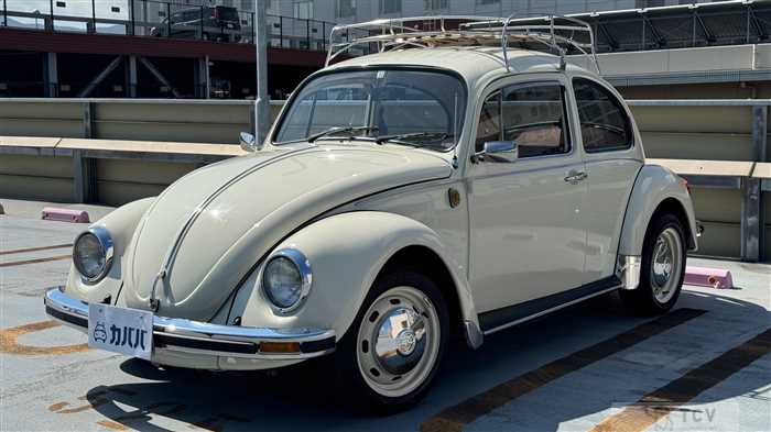 1978 Volkswagen Volkswagen Others