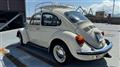 1978 Volkswagen Volkswagen Others