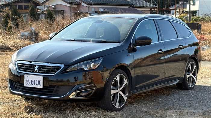 2015 Peugeot Peugoet Others