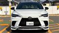 2025 Lexus RX