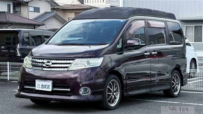 2009 Nissan Serena