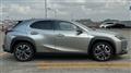 2024 Lexus UX