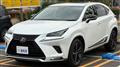 2019 Lexus NX