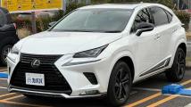 2019 Lexus NX