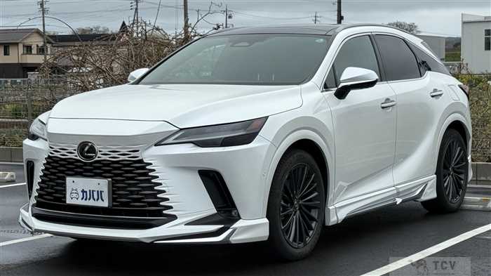 2024 Lexus RX