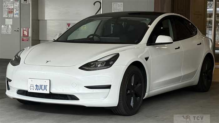 2021 Tesla Motors Others