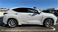 2021 Lexus NX