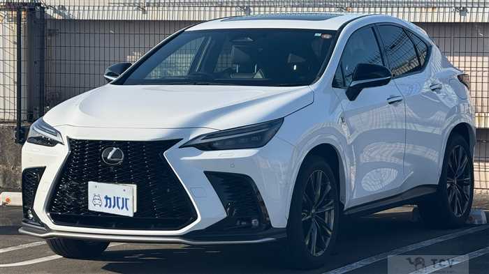 2023 Lexus NX