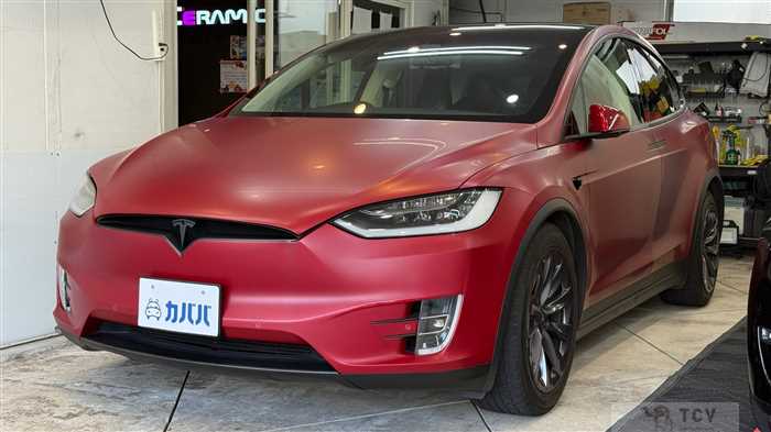 2017 Tesla Motors Others