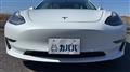 2021 Tesla Motors Others