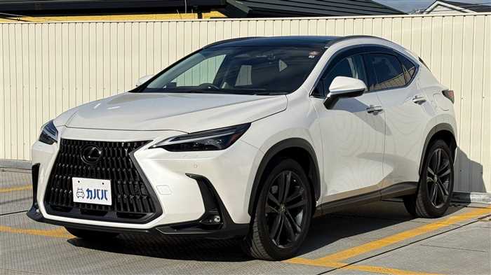 Lexus NX 350h L 2023 — миниатюра 2