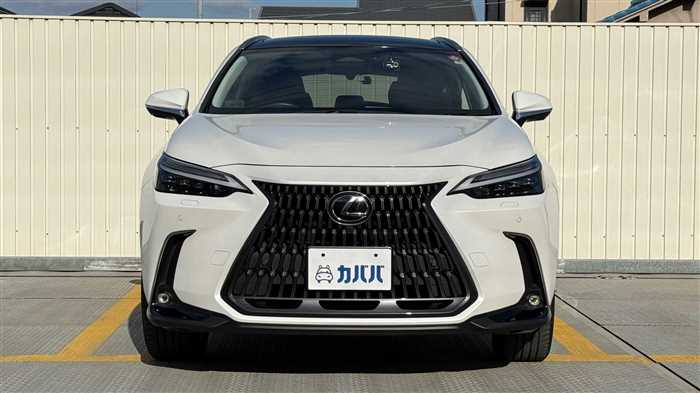 Lexus NX 350h L 2023 — миниатюра 3