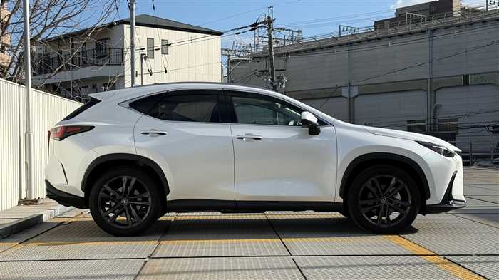 Lexus NX 350h L 2023 — миниатюра 4