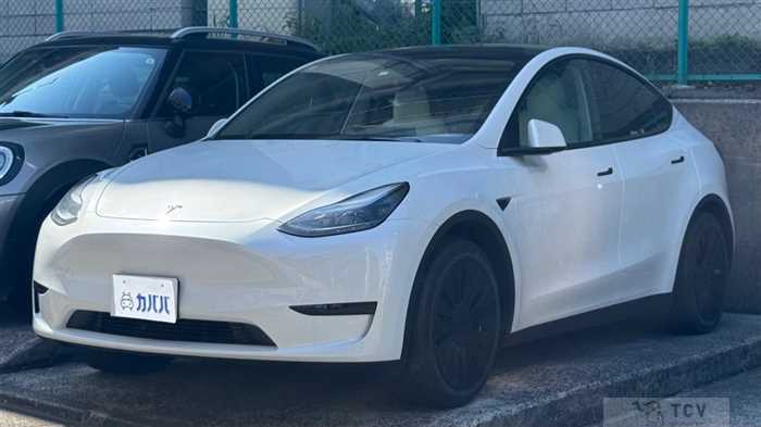 2023 Tesla Motors Others