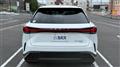 2022 Lexus RX