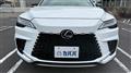2022 Lexus RX