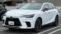2022 Lexus RX
