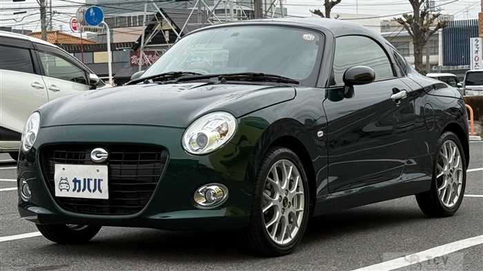 2019 Daihatsu Daihatsu Others