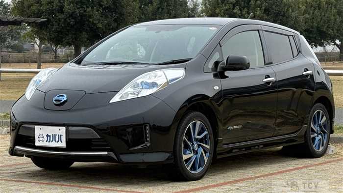 2014 Nissan Leaf