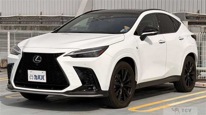 2023 Lexus NX