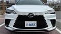 2025 Lexus RX