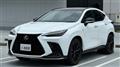 2025 Lexus NX