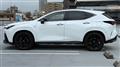 2025 Lexus NX