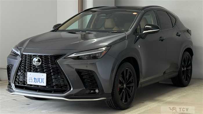 2024 Lexus NX