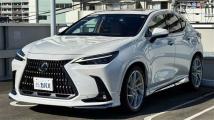 2021 Lexus NX