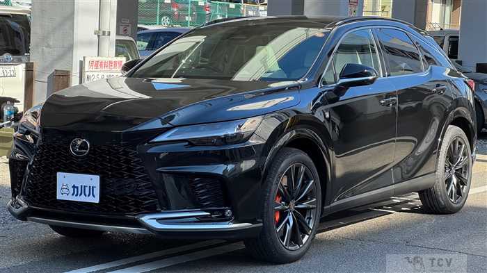2025 Lexus RX