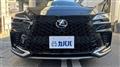 2025 Lexus RX