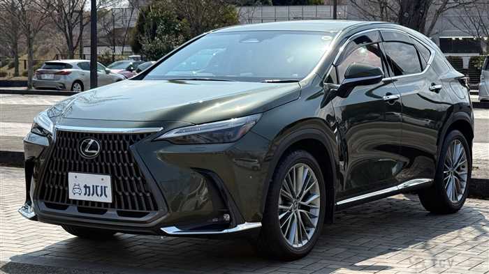 2023 Lexus NX
