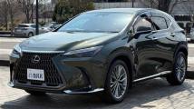 2023 Lexus NX