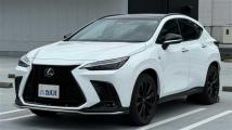 2025 Lexus NX