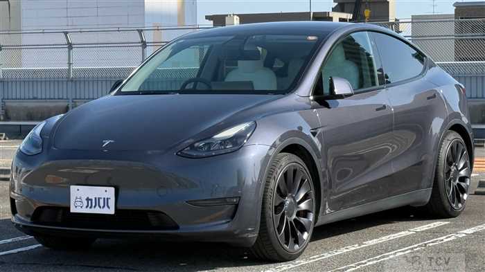 2022 Tesla Motors Others