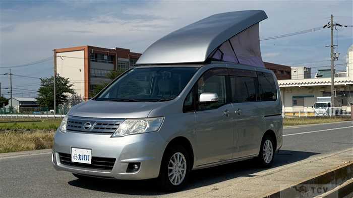 2009 Nissan Serena