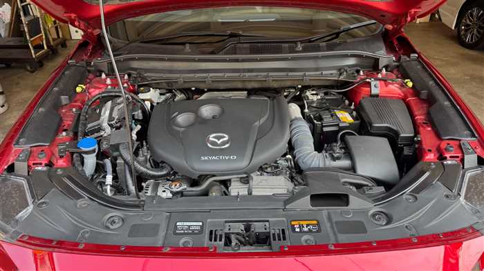 Mazda CX-8 2023 — фото 11 купить в Москве