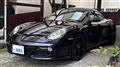 2010 Porsche Cayman